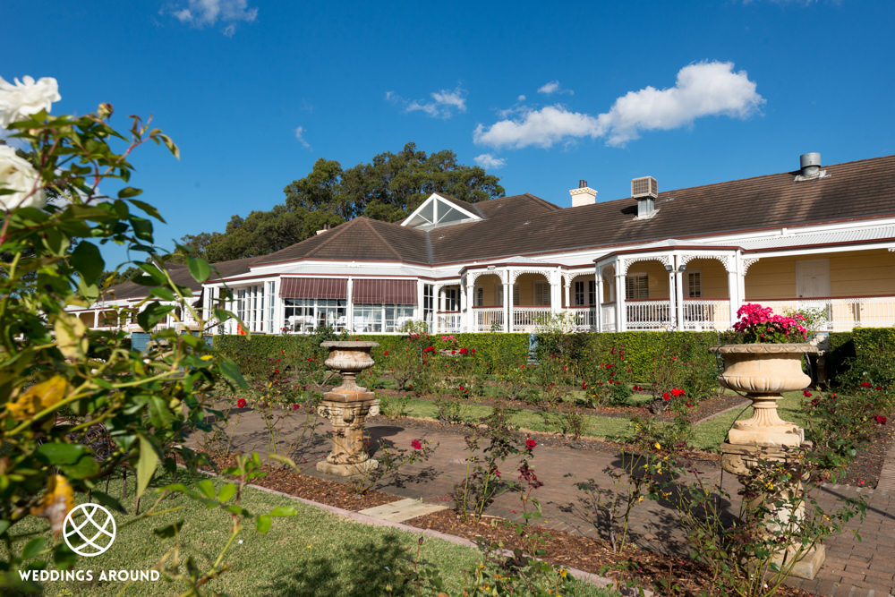 Rose garden